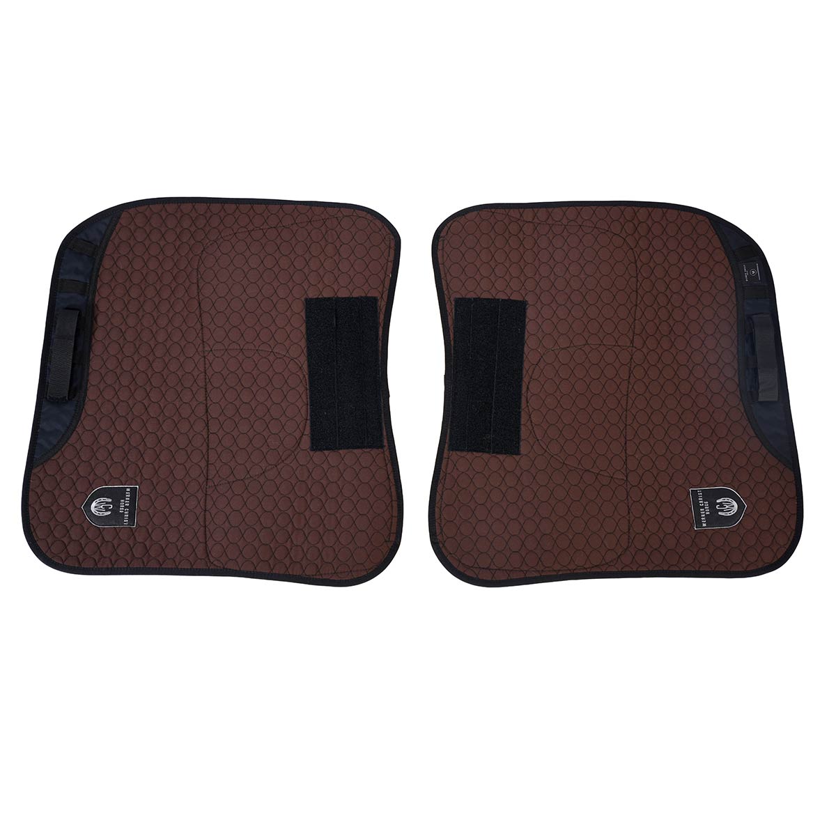 CFS Grande Dressage – Bild 4