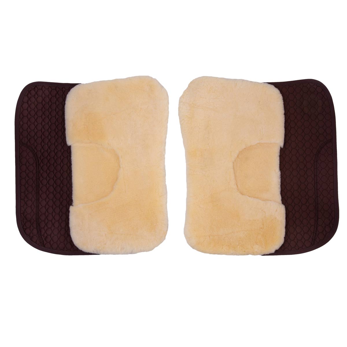 FPS Grande Dressage – Bild 2