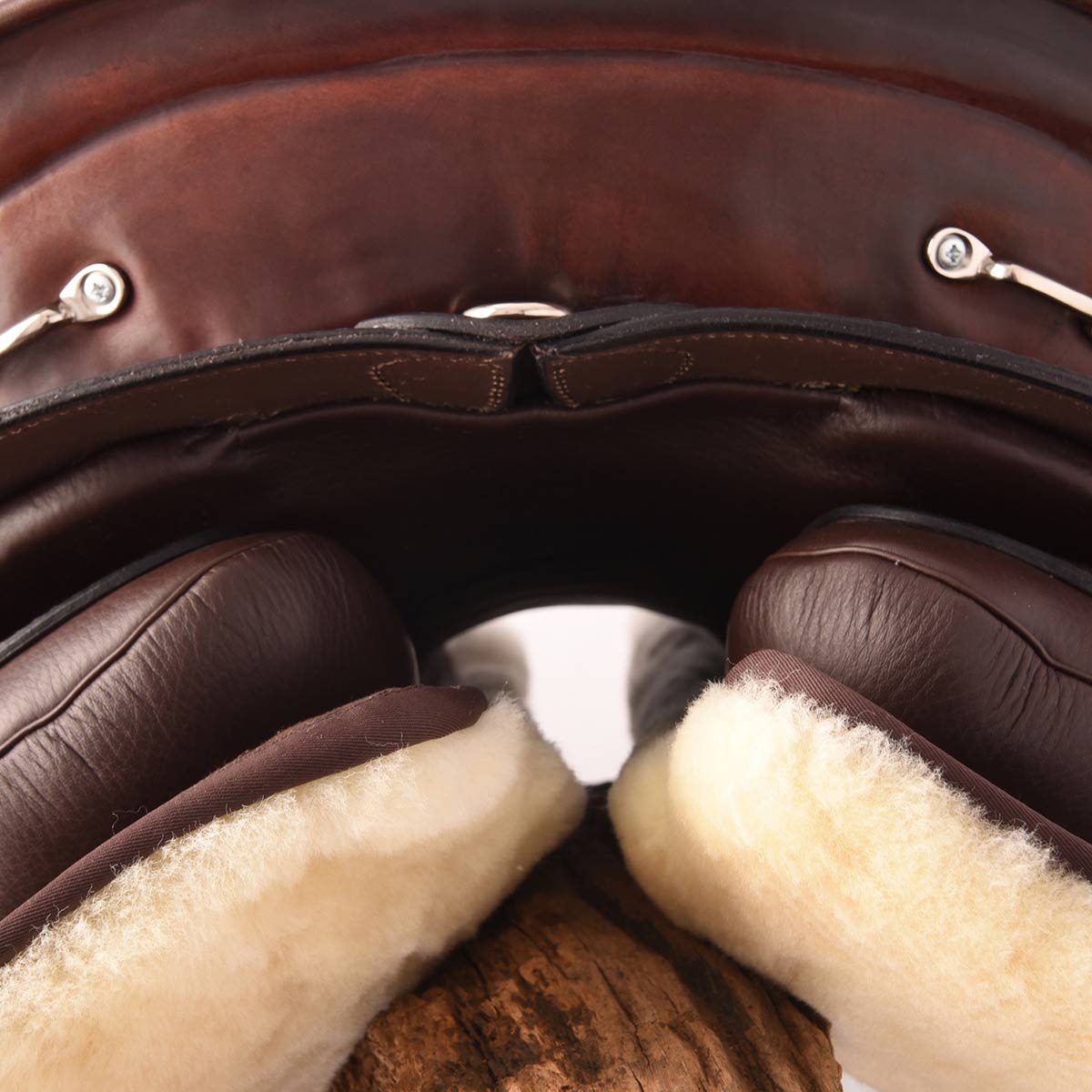 FPS Grande Dressage – Bild 3