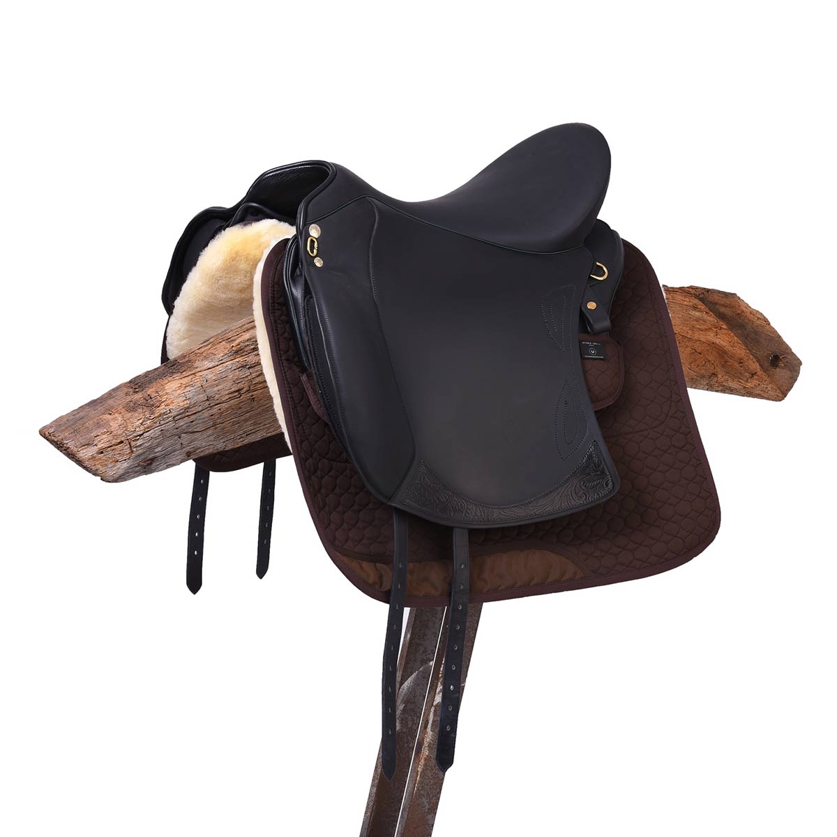 FPS Grande Dressage – Bild 4